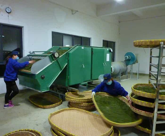制茶車間現(xiàn)場