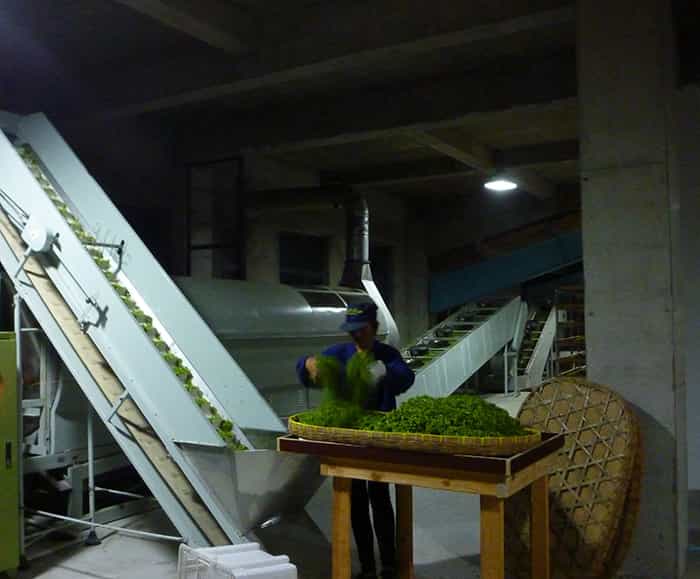 制茶車間現(xiàn)場